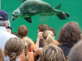 Bioparc 