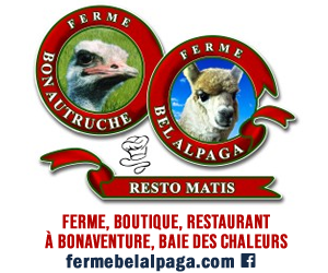 2413 Fr Ferme Bel Apaga Bon Autruche Pav 