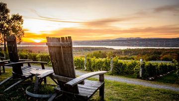 Vignoble Isle de Bacchus