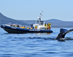 Croisières Baie de Gaspé