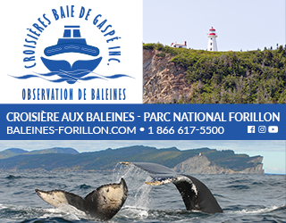 Croisière Baie de Gaspé
