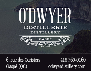 Pave Web O Dwyer Micro Distillerie