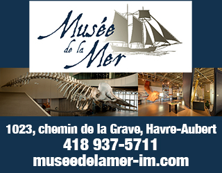 Pave Web Musee De La Mer