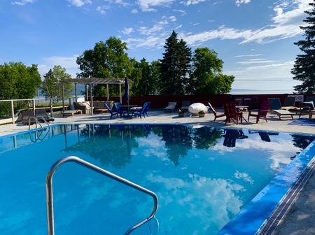 Piscine pour Chiens Martin Pool : Une Oasis de Fraîcheur 