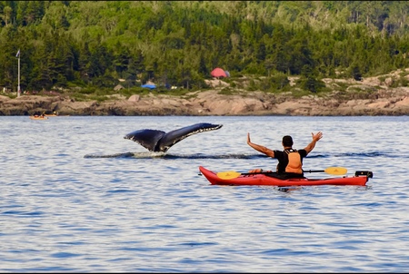 Fjord en Kayak