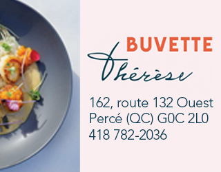 Pave Web Buvette Therese