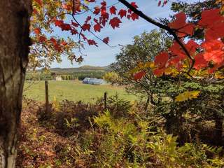 Ferme Ambrosia de Charlevoix