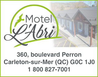 Pave Web Motel L Abri