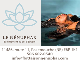 Pave Web Le Nenuphar