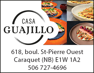 Pave Web  Casa Guajillo
