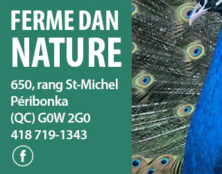 Pave Web Dan Nature