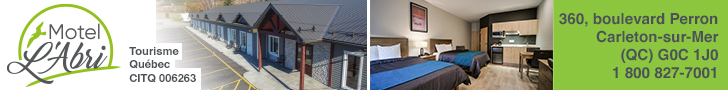 Mega Banniere Motel L Abri
