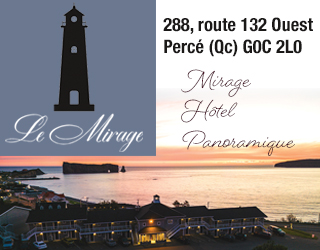 Pave Web Hotel Le Mirage